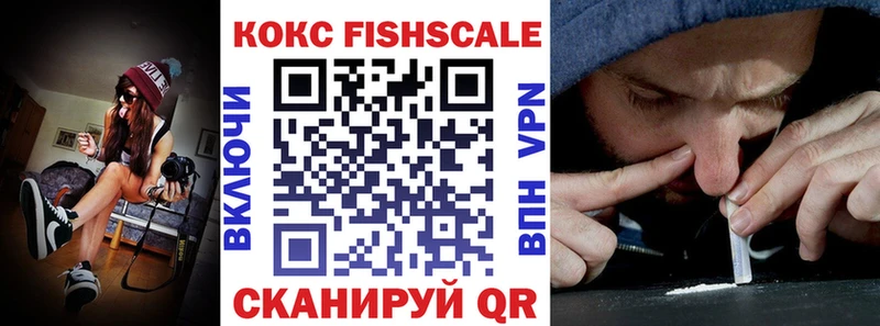 КОКАИН Fish Scale  Купить  Енисейск 