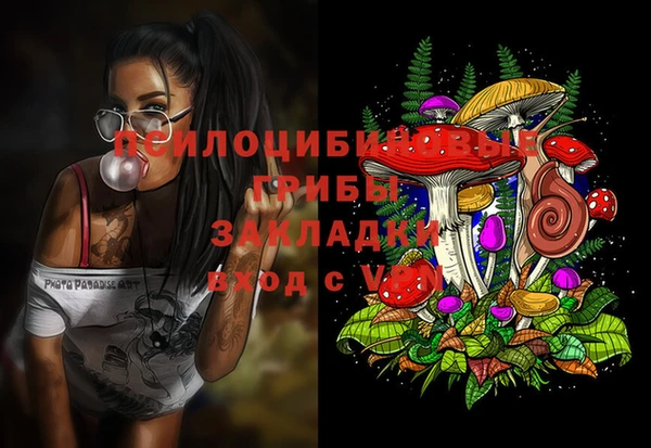 сатива Армянск