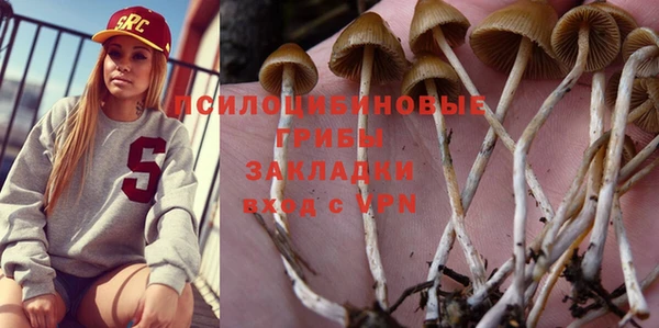 apvp Баксан