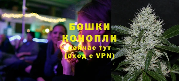 сатива Армянск