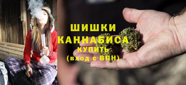 сатива Армянск