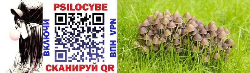Купить где  Енисейск  Псилоцибиновые грибы MAGIC MUSHROOMS 